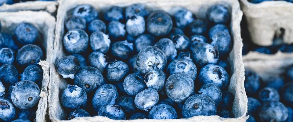 Blueberries